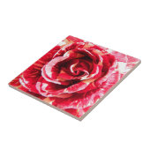 Carreau Photographie florale rayée rouge et blanche rose (Côté)