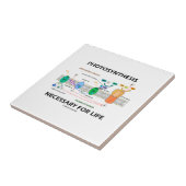 Carreau Photosynthèse nécessaire pour la vie dépendant de (Côté)