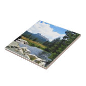 Carreau Pic cathédral à Tuolumne Meadows, Yosemite, CA (Côté)