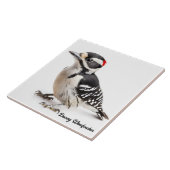 Carreau Pic Downy (Côté)