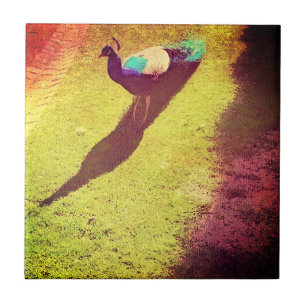 Carreau Pic vintage désorganisé sur gazon vert