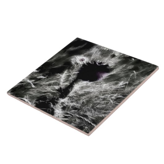 Carreau Pick (Côté)