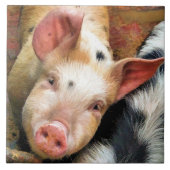 CARREAU PIÈCES (Devant)