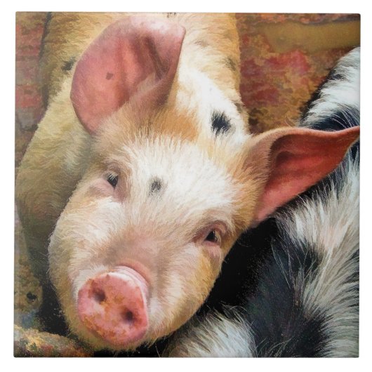 CARREAU PIÈCES (Devant)