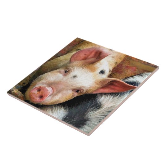 CARREAU PIÈCES (Côté)