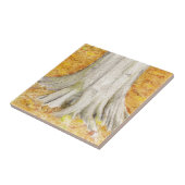 Carreau Pieds de hêtre (Côté)