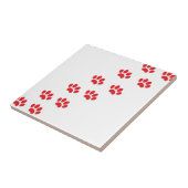 Carreau Pieds de pattes de chat (Côté)