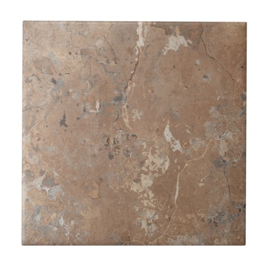 Carreau Pierre brune vintage rustique simple impression ru (Devant)