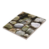 Carreau Pierre de champ, roches, pierre en détresse (Côté)