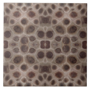 Carreau Pierre de Petoskey
