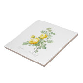 CARREAU PIERRE-JOSEPH REDOUTÉ "ROSE JAUNE" TILE CÉRAMIQUE (Côté)