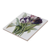 Carreau Pierre Joseph Redoute - Tulips (Côté)