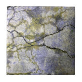 Carreau Pierre Naturelle Fendue avec Texture de Lichen (Devant)