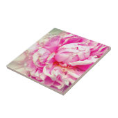 Carreau Pies roses et blanches (Côté)