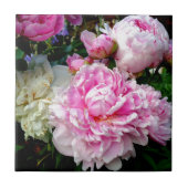 Carreau Pies roses et blanches (Devant)