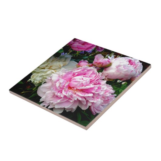 Carreau Pies roses et blanches (Côté)