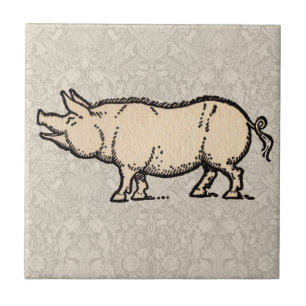 Carreau Pig Antique Piggy Cute Illustration Vintage