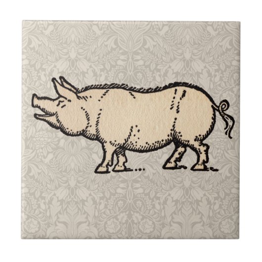 Carreau Pig Antique Piggy Cute Illustration Vintage (Devant)
