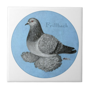 Carreau Pigeon à tête bleue