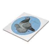 Carreau Pigeon à tête bleue (Côté)