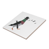 Carreau Pigeon en ville (Côté)