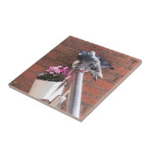 Carreau Pigeon Pair et Red Saxifrage Flowers (Côté)