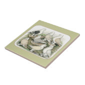 Carreau Pigeons classiques Satinettes de vrille (Côté)