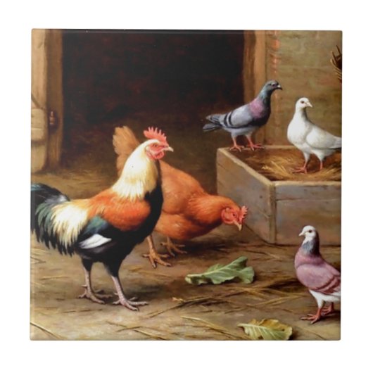 Carreau Pigeons de poule de coq (Devant)