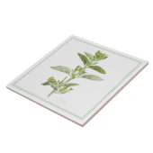 Carreau Pile céramique OREGANO 6x6 (-texte) (Côté)