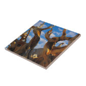 Carreau Pin Bristlecone (Côté)