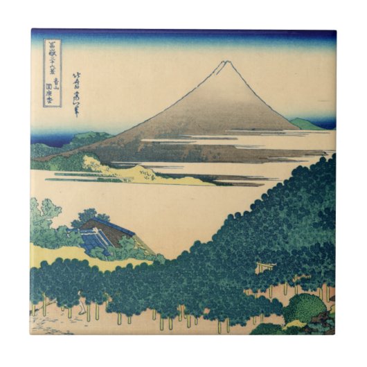 Carreau Pin de coussin chez Aoyama (Devant)