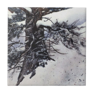 Carreau Pin déneigé d'hiver Carrelage du paysage