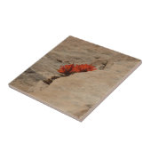 Carreau Pinceau indien en roche à Sion (Côté)