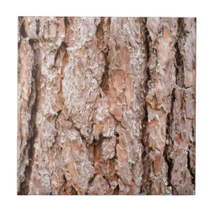 Carreau Pine tree bark