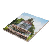 Carreau Pineapple Fountain à Charleston (Côté)