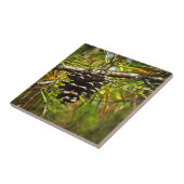 Carreau Pinecone (Côté)