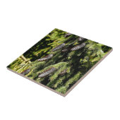 Carreau Pinecones (Côté)