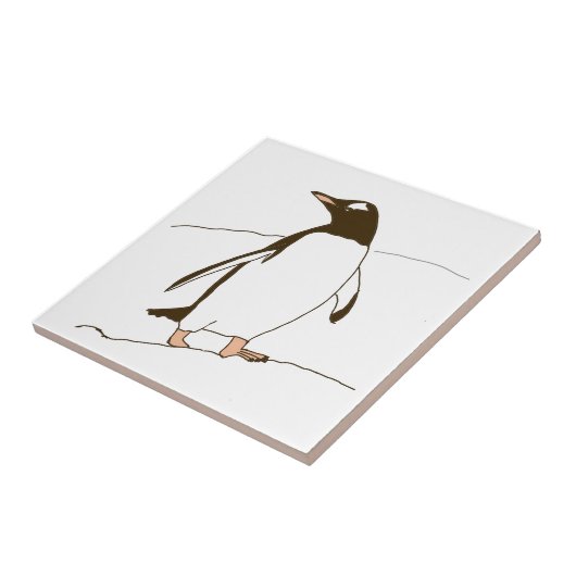 Carreau Pingouin (Côté)