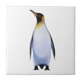 Carreau Pingouin (Devant)