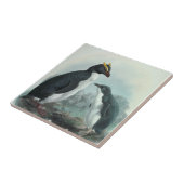 Carreau Pingouin de Rockhopper (Côté)