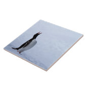 Carreau Pingouin Gentoo (Côté)