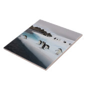 Carreau Pingouins (Côté)