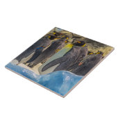 Carreau Pingouins au carrelage en céramique du zoo (Côté)