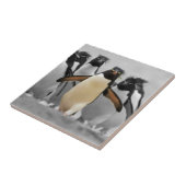 Carreau Pingouins de Rockhopper (Côté)