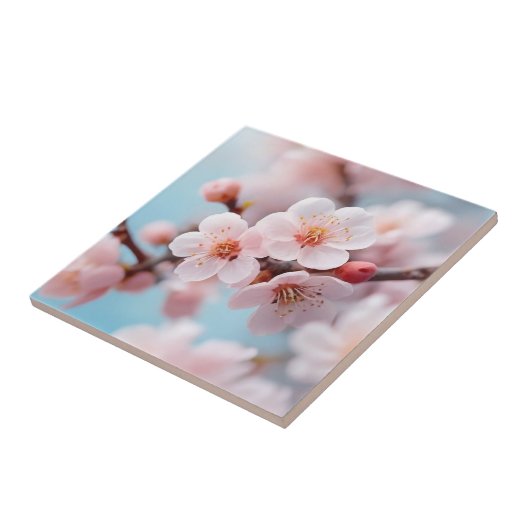 Carreau Pink Blossom Magic   (Côté)