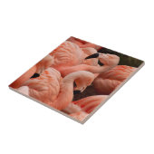 Carreau Pink flamingos (Côté)