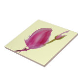 Carreau Pink magnolia watercolour flower art (Côté)