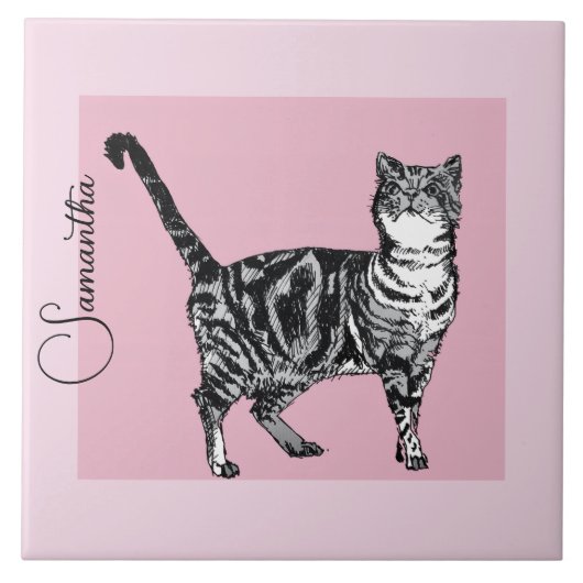 Carreau Pink Tabby Cat Cats Pastel Pink Girls Name (Devant)
