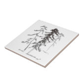 Carreau Pins (Côté)