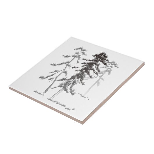 Carreau Pins (Côté)